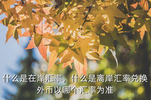 什么是在岸匯率，什么是離岸匯率兌換外幣以哪個匯率為準