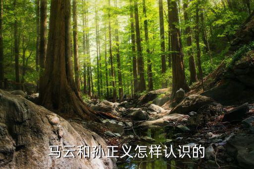 孫正義投馬云多少錢,現在能賺多少錢