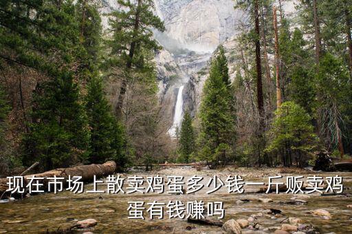現在市場上散賣雞蛋多少錢一斤販賣雞蛋有錢賺嗎