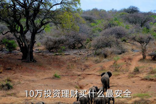 10萬(wàn)投資理財(cái)買(mǎi)什么最安全