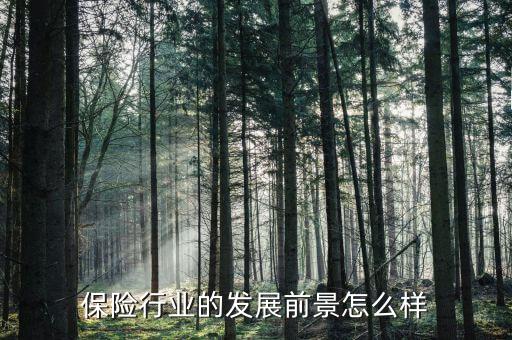 保險行業怎么樣,你們覺得保險行業怎么樣