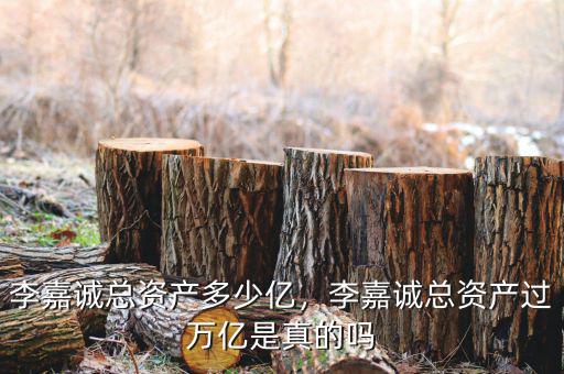 李嘉誠總資產多少億，李嘉誠總資產過萬億是真的嗎