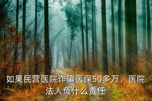 如果民營醫院詐騙醫保50多萬，醫院法人負什么責任