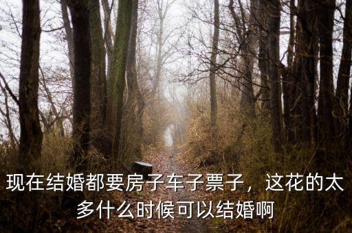 現在結婚都要房子車子票子，這花的太多什么時候可以結婚啊