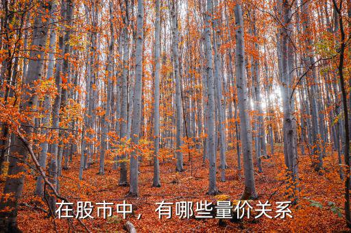 在股市中，有哪些量價關系