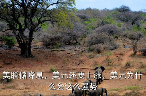 美聯儲降息，美元還要上漲，美元為什么會這么強勢