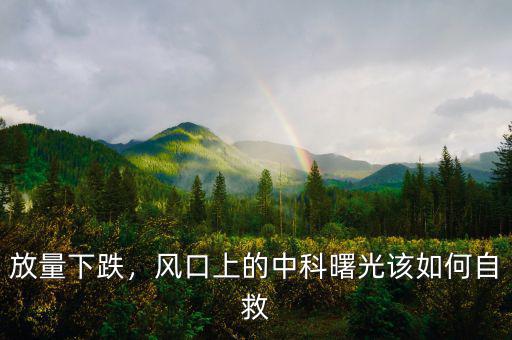 中科曙光做什么的,中科曙光服務器業務怎么樣
