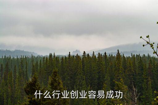 什么行業創業容易成功
