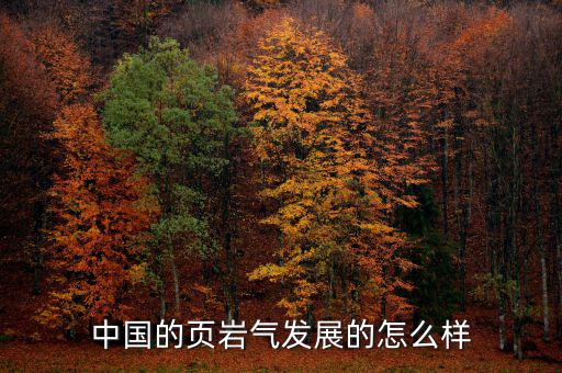 中國的頁巖氣發展的怎么樣