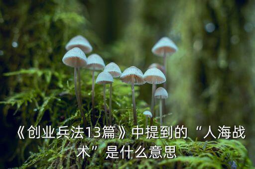 《創業兵法13篇》中提到的“人海戰術”是什么意思