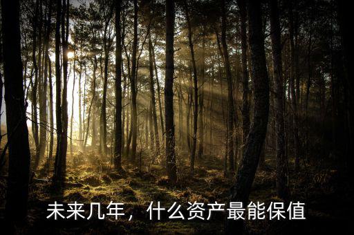 未來幾年，什么資產最能保值