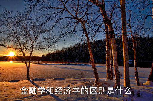 做金融的什么口味,金融學和經濟學的區別是什么