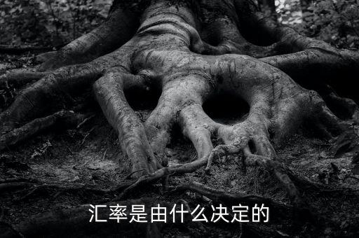貨幣匯率由什么定,匯率的本質是什么
