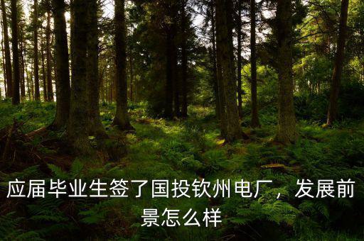 國投電廠待遇怎么樣,發展前景怎么樣