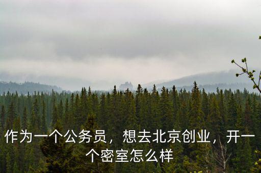 去北京怎么創業,還是直接去北京