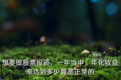 想要做股票投資，一年當中，年化收益率達到多少算是正常的