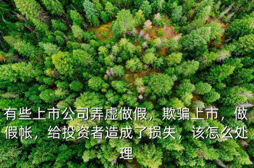 有些上市公司弄虛做假，欺騙上市，做假帳，給投資者造成了損失，該怎么處理