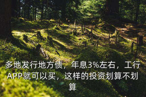 多地發行地方債，年息3%左右，工行APP就可以買，這樣的投資劃算不劃算