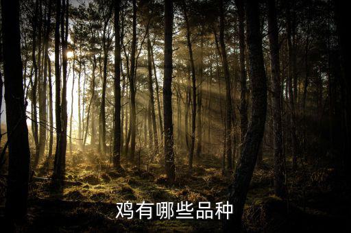 溫氏雞有什么品種,養雞什么品種的好呢
