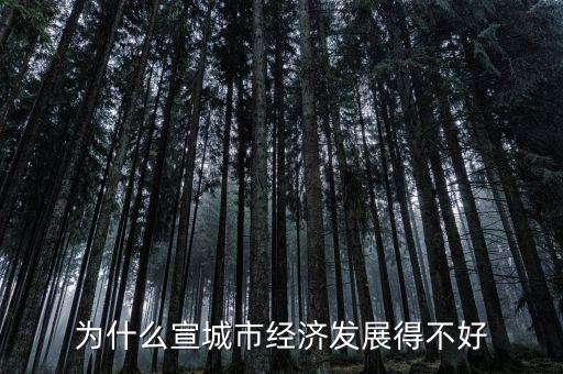 為什么宣城市經濟發展得不好