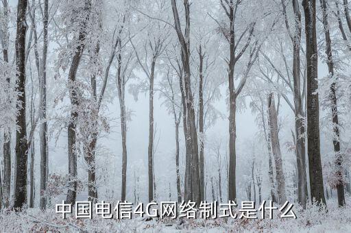 中國電信混合組網什么意思,SA組網優勢明顯