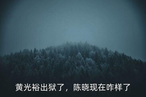 黃光裕出獄了，陳曉現在咋樣了
