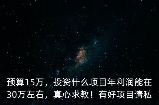 預算15萬，投資什么項目年利潤能在30萬左右，真心求教！有好項目請私