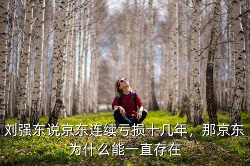 京東什么是虧損,劉強東說京東連續虧損十幾年