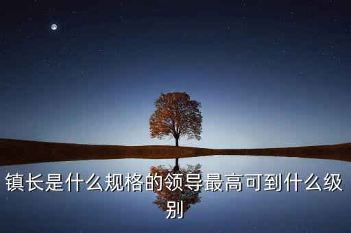 鎮長是什么規格的領導最高可到什么級別