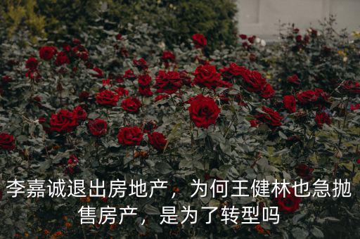 李嘉誠為什么拋售內地房產,李嘉誠拋售房產之后