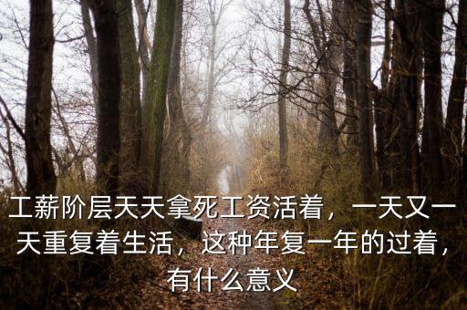 工薪階層天天拿死工資活著，一天又一天重復著生活，這種年復一年的過著，有什么意義