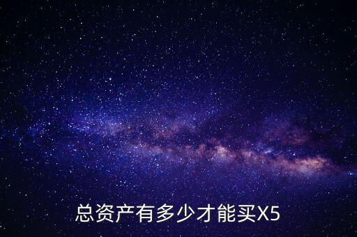 賽伯樂總資產是多少,總資產有多少才能買X5