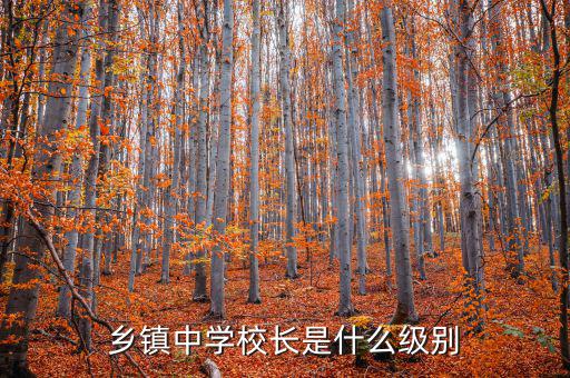 陳安眾是什么級別,天津各區是什么級別