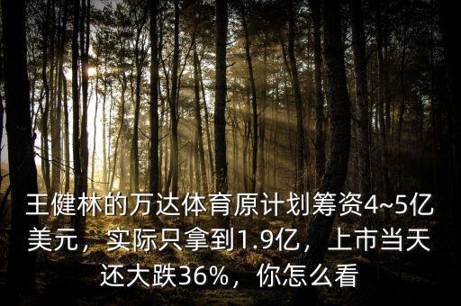 王健林的萬達體育原計劃籌資4~5億美元，實際只拿到1.9億，上市當天還大跌36%，你怎么看