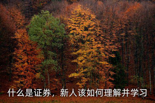 什么是證券，新人該如何理解并學(xué)習(xí)