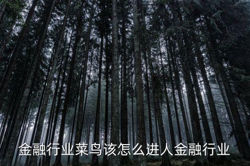 金融行業菜鳥該怎么進人金融行業