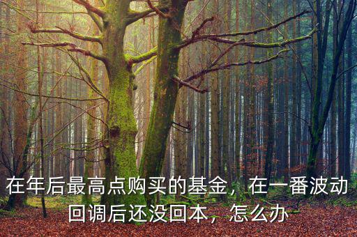 在年后最高點購買的基金，在一番波動回調后還沒回本，怎么辦