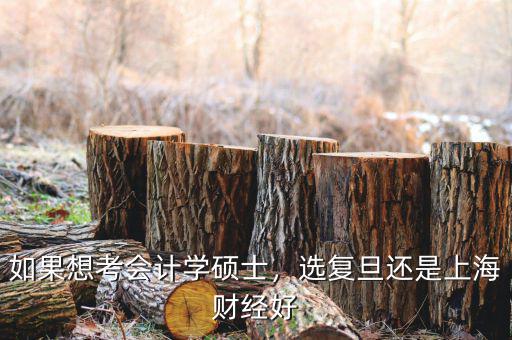 上海高金會計學怎么樣,上海大學的會計專業怎么樣