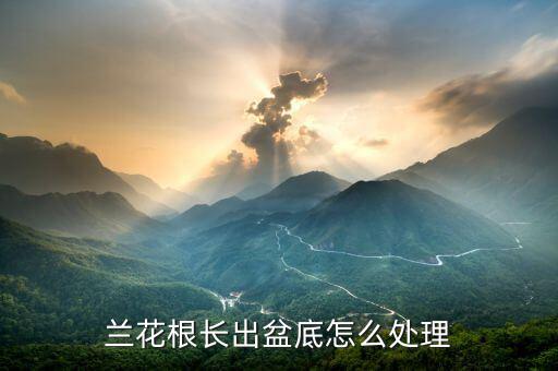 蘭花科創怎么了,蘭花根長出盆底怎么處理