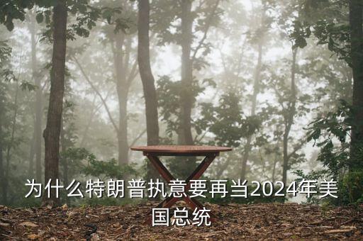 為什么要贊助總統,為什么還要爭當總統