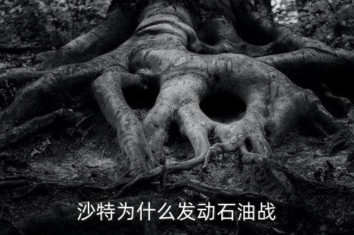 沙特為什么發動石油戰