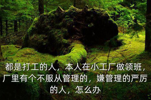 都是打工的人，本人在小工廠做領班，廠里有個不服從管理的，嫌管理的嚴厲的人，怎么辦