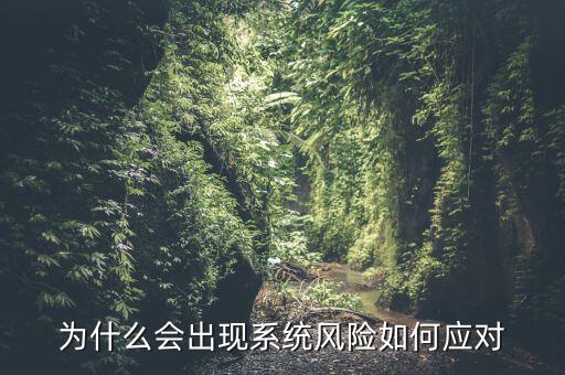 為什么會出現系統風險如何應對