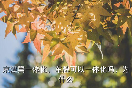 京津冀一體化，車牌可以一體化嗎，為什么