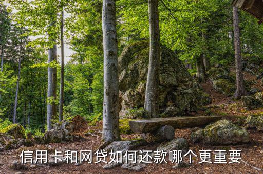 信用卡和網貸如何還款哪個更重要