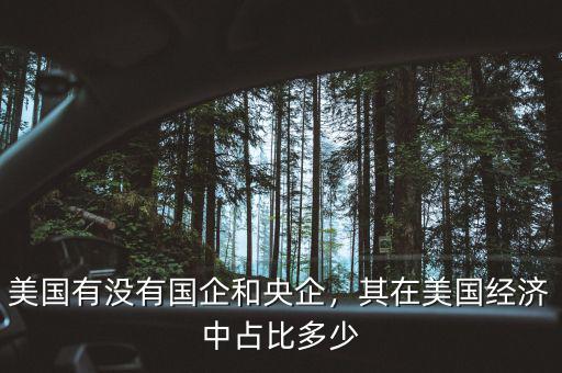 美國(guó)有沒(méi)有國(guó)企和央企，其在美國(guó)經(jīng)濟(jì)中占比多少