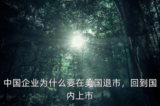 中國企業為什么要在美國退市，回到國內上市