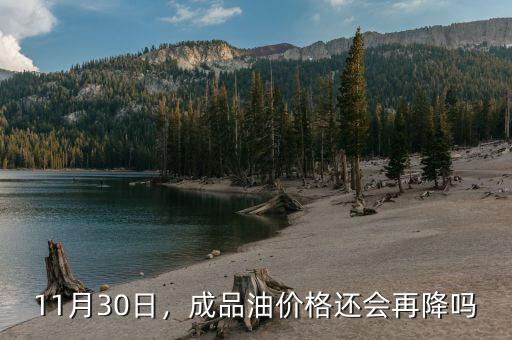 廣東省11月17日汽油下調多少,11月30日