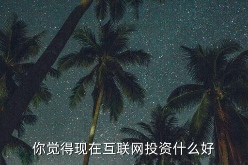 你覺得現在互聯網投資什么好