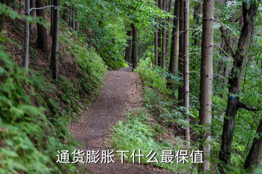 經濟通縮什么保值,發生經濟大蕭條時什么最保值